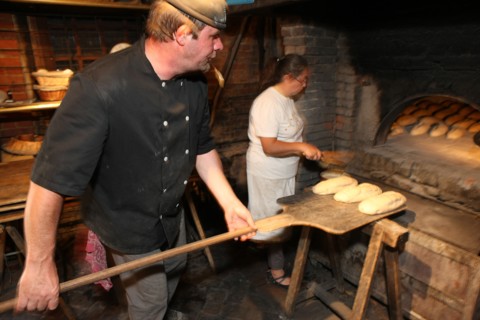 France, la haye de routot
