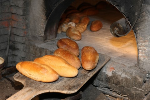 France, la haye de routot