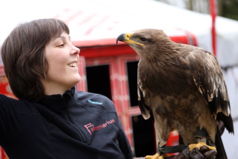 France, Haute Normandie, eure, balines, falconarius, bois des aigles, rapaces, hebergement en yourte mongole, faucon des steppes,