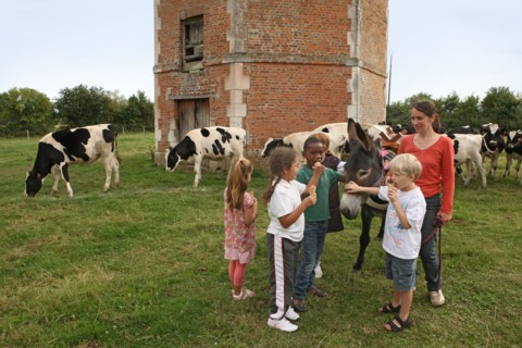 France, Louvet farm