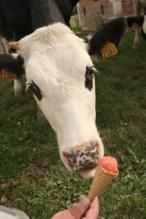 France, Louvet farm