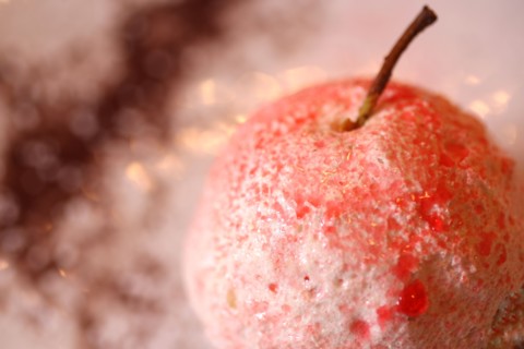France, Haute Normandie, eure, evreux/gauciel, restaurant la gazette, chef xavier buzieux, dessert a base de pomme rouge produite par stephane et martine van thornout a gauciel,