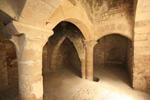 France, Haute Normandie, eure, pont de l'arche, abbaye de bonport, monument historique, abbaye cistercienne, vestiges de l'ancienne cheminee des cuisines,