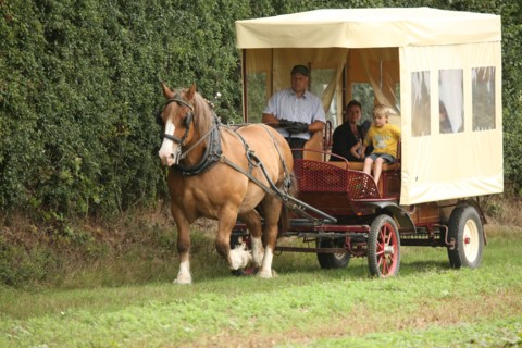 France, Beaulieu farm