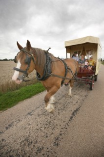 France, Beaulieu farm
