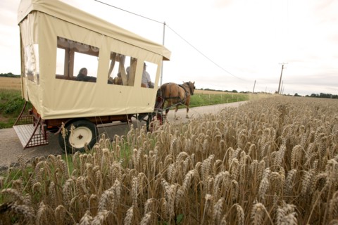 France, Beaulieu farm