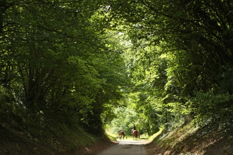 France, Green way