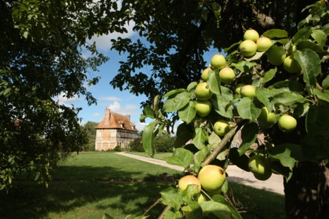 France, Estate