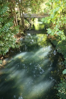 France, Basse Normandie, orne, pays d'avre et d'iton, breteuil sur iton, detail de la riviere,