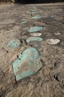 France, franche comté, jura, loulle, traces de dinosaures, site protege, prehistoire, jurassique,