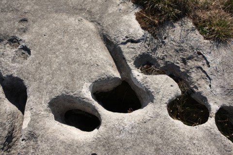 France, Loulle limestone pavement