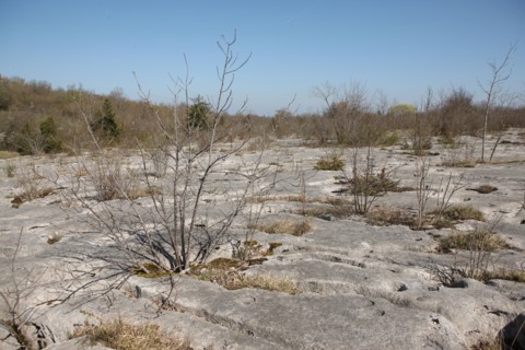 France, franche comte, jura, loulle, les lapiaz de loulle, sol prehistorique, curiosite geologique, jurassique, prehistoire,