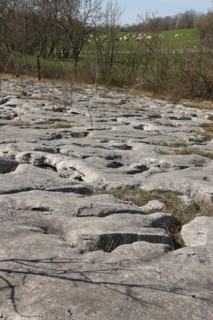 France, franche comte, jura, loulle, les lapiaz de loulle, sol prehistorique, curiosite geologique, jurassique, prehistoire,