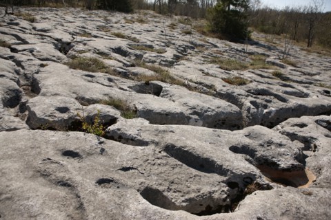 France, Loulle limestone pavement
