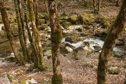 France, franche comte, jura, menetrux en joux, cascades du herisson, pays des lacs, eau, chutes,