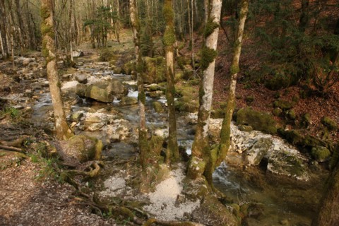 France, franche comte, jura, menetrux en joux, cascades du herisson, pays des lacs, eau, chutes,