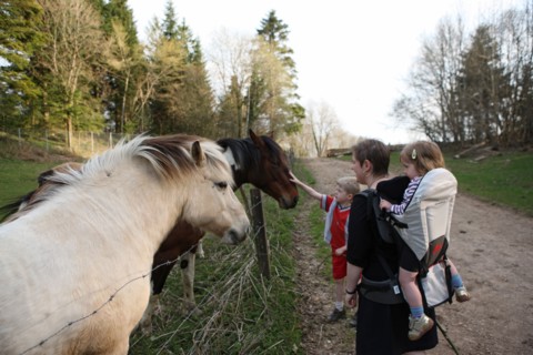 France, franche comte, jura, lent, ferme de sejour, pays des lacs, agriculture, route du comte, paysage, nature, hiver, randonnee, famille, enfants carressant les chevaux, chemin,