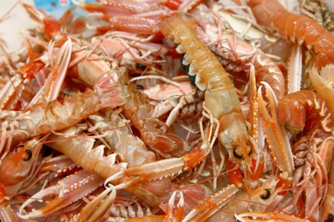 France, Fishmonger le petit mareyeur