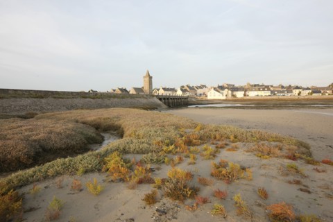 France, Basse Normandie, manche, cote des havres, portbail, littoral, mer, port, bateaux, port, maree basse, soleil levant, clocher, sable, vegetation,