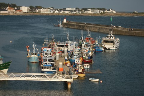 France, PORT MARIA