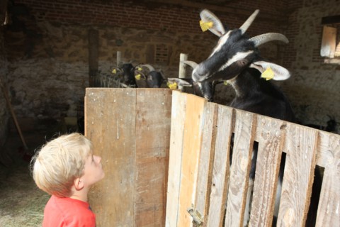 France, welcome to the farm