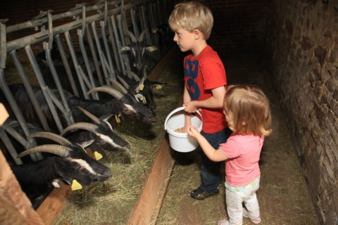 France, welcome to the farm