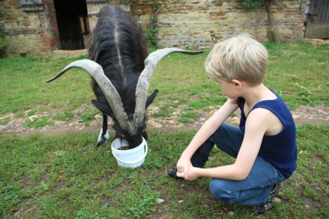 France, welcome to the farm