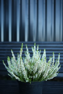France, VILLA QUARTZ