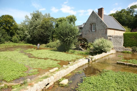 France, veules les roses