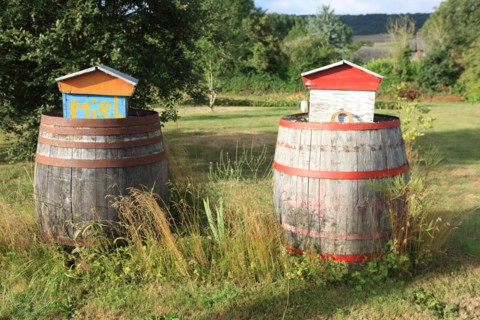 France, land