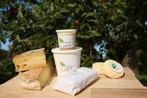 France, Haute Normandie, seine maritime, plateau de caux maritime, saint vaast dieppedalle, les pres d'artemare, famille follet, produits fermiers, gastronomie, agriculture, fromages, elevage vaches l...