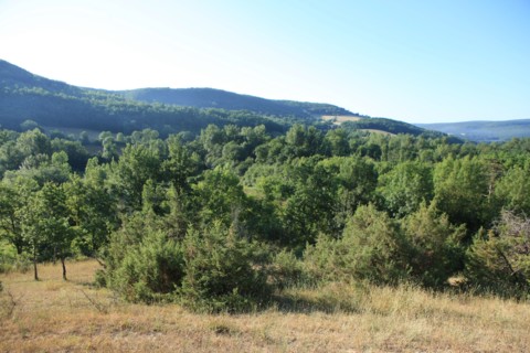 france, region midi pyrenees, tarn et garonne, varen, arnac, ferme de quyvie, sylvie et thierry