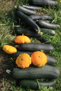 france, region midi pyrenees, tarn et garonne, varen, arnac, ferme de quyvie, sylvie et thierry bolmont, agriculture biologique, tomates, herbes aromatiques, alimentation, jardin, gite, colombier, cou...