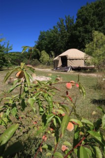 France, midi pyrenees, tarn et garonne, arnac, camping nature le camp,