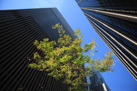 usa, etat de New York, New York City, Manhattan, Broadway, vers Rockfeller Center, buildings, rue,