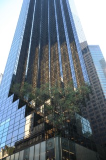 usa, etat de New York, New York City, Manhattan, Broadway, vers Rockfeller Center, buildings, rue, terrasse, arbre,