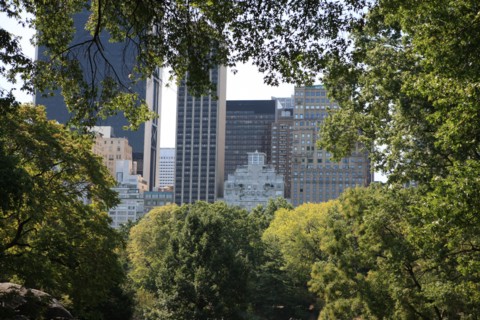 usa, etat de New York, New York City, Manhattan, Broadway, Central Park, jardin, building, promeneurs,