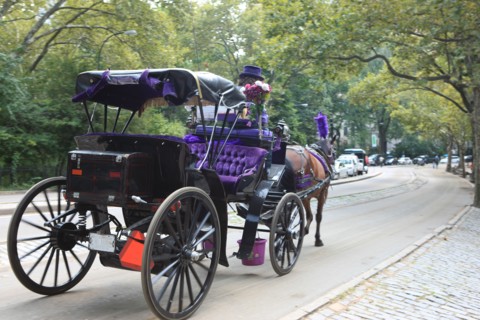 usa, etat de New York, New York City, Manhattan, Broadway, Central Park, jardin, building, promeneurs, caleche,