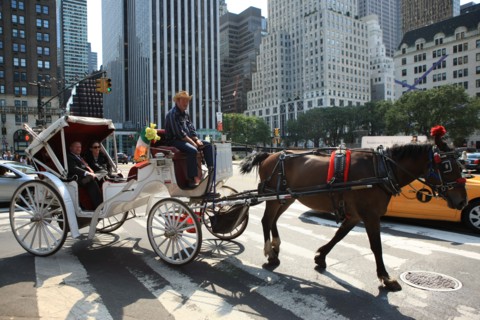usa, etat de New York, New York City, Manhattan, Broadway, Central Park, jardin, building, promeneurs, caleche,