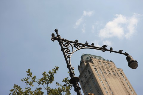 usa, etat de New York, New York City, Manhattan, Broadway, Central Park, building,