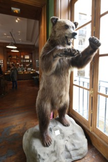 France, ile de france, paris 7e arrondissement, 46 rue du bac, boutique deyrolle, taxidermie, animaux naturalises, fauves, faune, 
Date : 2011-2012