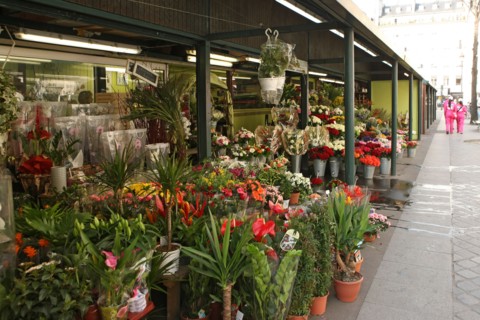 France, ile de france, paris 8e arrondissement, place de la madeleine, marche aux fleurs, eglise de la madeleine, 
Date : 2011-2012
