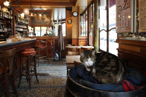 France, ile de france, paris 11e arrondissement, 104 rue de charonne, l'Armagnac, bar, restaurant, 
Date : 2011-2012