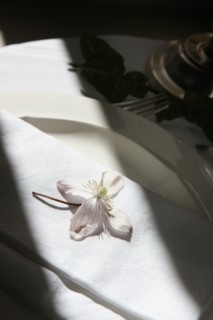 Detail of a flower in a plate. Restaurant in Paris.