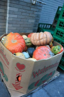 usa, state of New York, NYC, Chelsea, citrouilles, halloween,