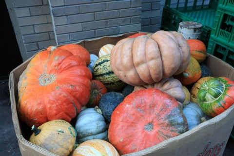 usa, state of New York, NYC, Chelsea, citrouilles, halloween,