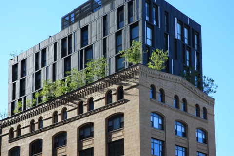 usa, state of New York, NYC, Manhattan, Chelsea, terrasse, building,