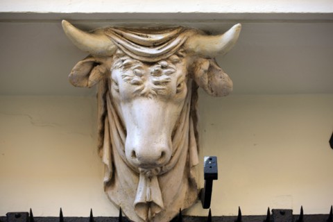France, ile de france, paris 3e arrondissement, le marais, 67 rue de turenne, detail de tete de taureau soutenant le balcon, facade sur rue, immeuble, 
Date : 2011-2012
