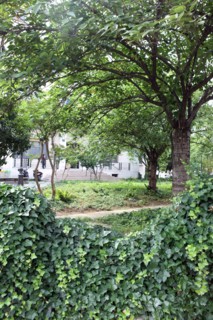 France, ile de france, paris, 4e arrondissement, quai des celestins et rue de l'hotel de ville, jardin marie trintignant, espace vert, ville de paris.
Date : 2011-2012