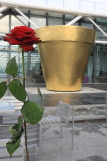 France, ile de france, paris 4 arrondissement, beaubourg, centre pompidou, architectes renzo piano et richard rogers, terrasse panoramique, pot de fleur de Jean-Pierre Raynaud, rose.
Date : 2011-2012